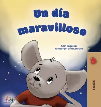 A Wonderful Day (Spanish Children's Book) cover