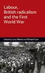 Labour, British Radicalism and the First World War cover