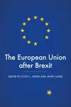 The European Union After Brexit cover