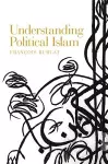 Understanding Political Islam cover