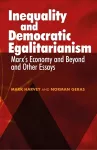 Inequality and Democratic Egalitarianism cover