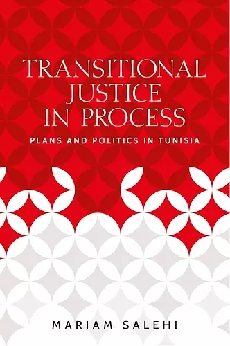 Transitional Justice in Process cover