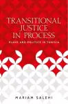 Transitional Justice in Process cover