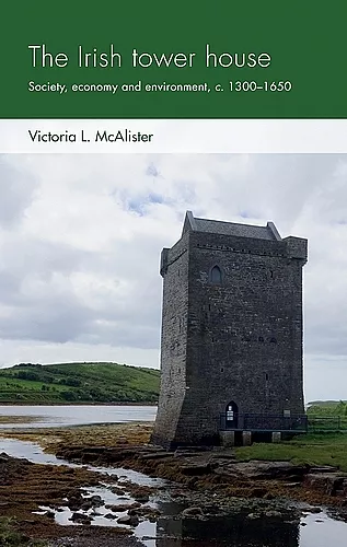 The Irish Tower House cover