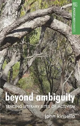 Beyond Ambiguity cover