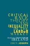 Critical Race Theory and Inequality in the Labour Market cover