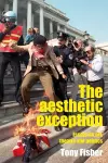 The Aesthetic Exception cover