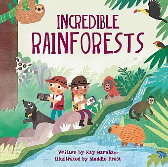 Look and Wonder: Incredible Rainforests cover