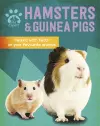 Pet Expert: Hamsters and Guinea Pigs cover