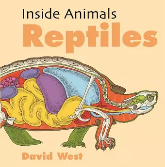 Inside Animals: Reptiles cover