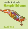 Inside Animals: Amphibians cover