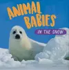 Animal Babies: In the Snow cover