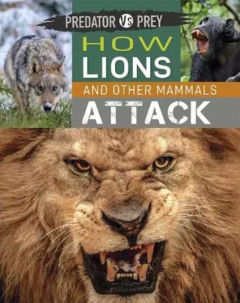 Predator vs Prey: How Lions and other Mammals Attack cover