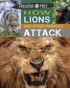 Predator vs Prey: How Lions and other Mammals Attack cover