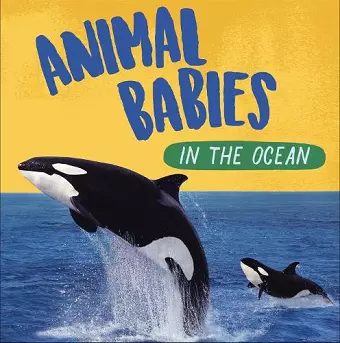 Animal Babies: In the Ocean cover