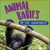Animal Babies: In the Rainforest cover