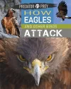 Predator vs Prey: How Eagles and other Birds Attack cover