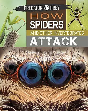 Predator vs Prey: How Spiders and other Invertebrates Attack cover