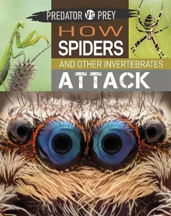 Predator vs Prey: How Spiders and other Invertebrates Attack cover