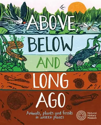 Above, Below and Long Ago cover