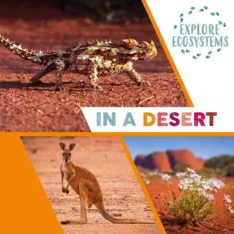 Explore Ecosystems: In a Desert cover