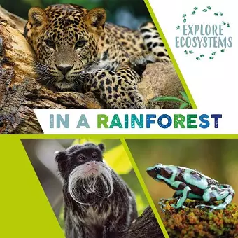 Explore Ecosystems: In a Rainforest cover