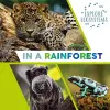 Explore Ecosystems: In a Rainforest cover