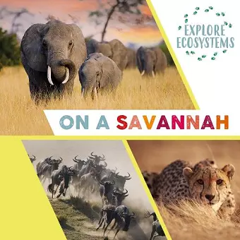 Explore Ecosystems: On a Savannah cover