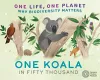 One Life, One Planet: One Koala in Fifty Thousand cover