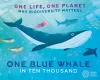 One Life, One Planet: One Blue Whale in Ten Thousand cover