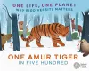 One Life, One Planet: One Amur Tiger in Five Hundred cover