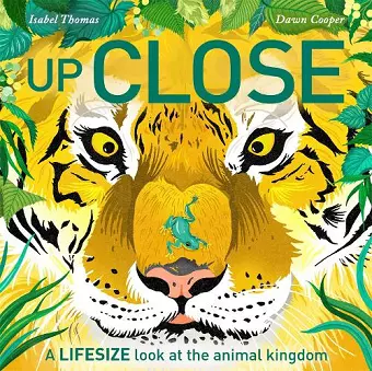 Up Close cover