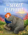 The Secret Elephant cover