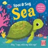 Spot and Say: Sea cover