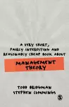 A Very Short, Fairly Interesting and Reasonably Cheap Book about Management Theory cover