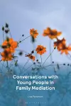 Conversations with Young People in Family Mediation cover