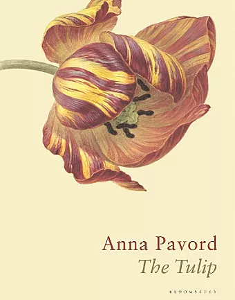 The Tulip cover