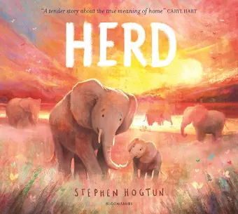 HERD cover