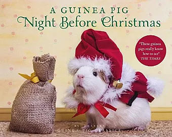 A Guinea Pig Night Before Christmas cover