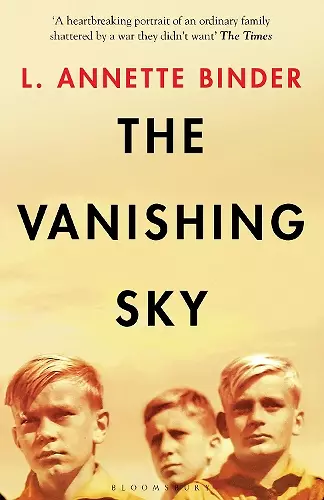 The Vanishing Sky cover