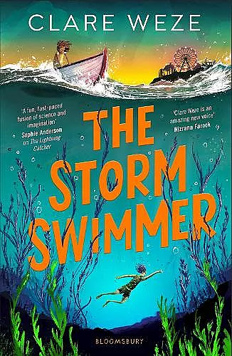 The Storm Swimmer cover