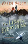 The Light in Everything cover
