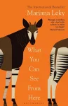 What You Can See From Here cover