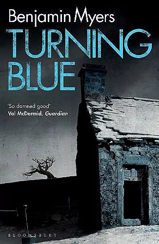 Turning Blue cover