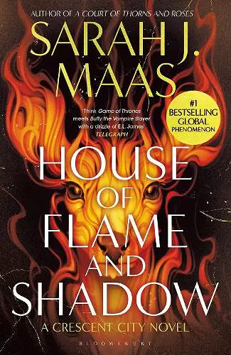 House of Flame and Shadow cover