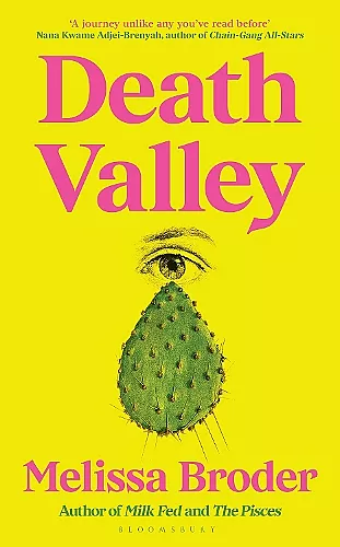 Death Valley cover