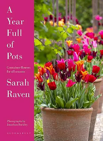 A Year Full of Pots cover