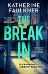 The Break-In cover