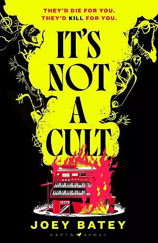 It's Not a Cult cover