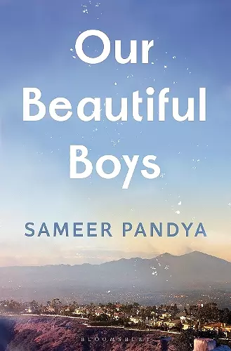 Our Beautiful Boys cover